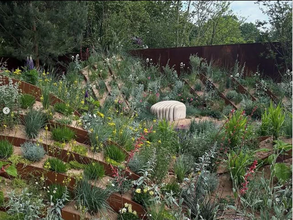 Hosptalfields Garden for RHS Chelsea, 2025, view from the side looking at the dunes